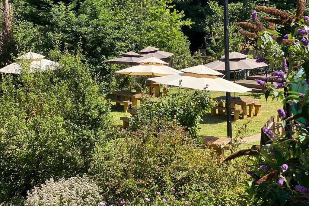 Apartmán 17Th Century Boutique Getaway In The Countryside Martin Mill Exteriér fotografie